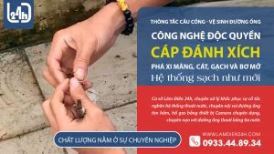 Sân thượng bị nghẹt phễu sàn thoát nước mưa do rễ cây trong đường ống. Thông tắc cầu cống chuyên nghiệp tại Vũng Tàu - LamDien24h